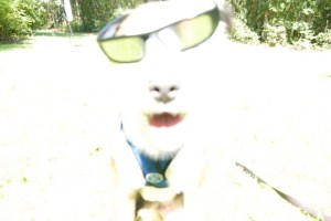 Looking Up DSC_0490 sml