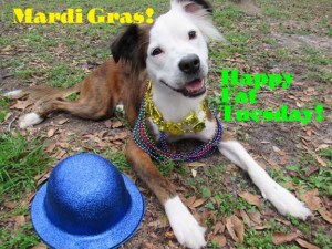 IMG_4786 sml txt Mardi Gras 2018