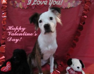 IMG_4807 sml txt Valentine 2018