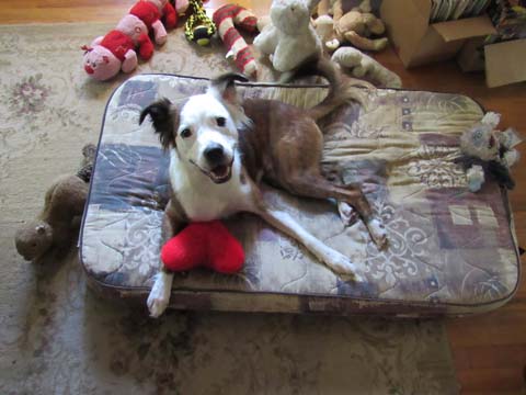 IMG_0553 sml House Guests