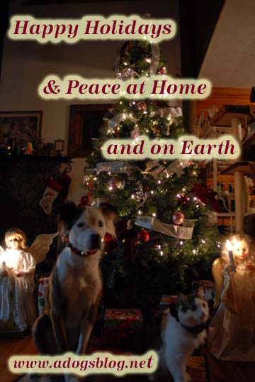 DSC_0212 sml Holiday Poster