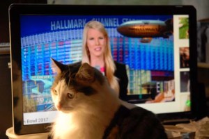 DSC_0722 sml Game On