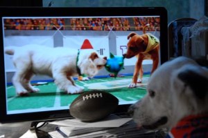 DSC_0751 sml Game On