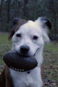 DSC_0795 sml Game On