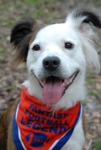 DSC_0873 sml Game On