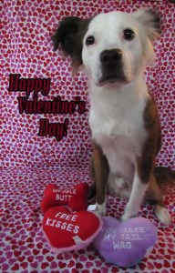 IMG_2172 sml crp txt